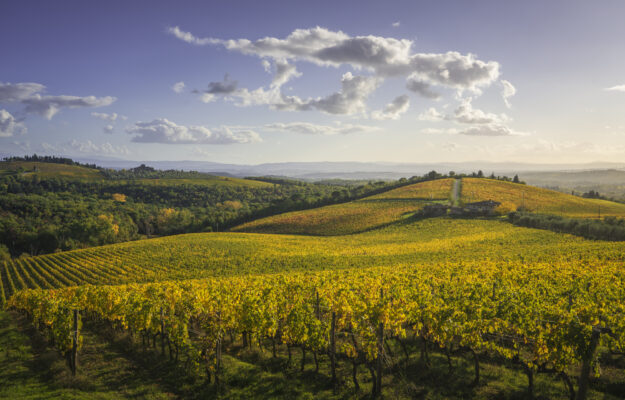 Una Toscana del vino in salute si prepara alle sue “Anteprime”, anticipate da “BuyWine&rdqu