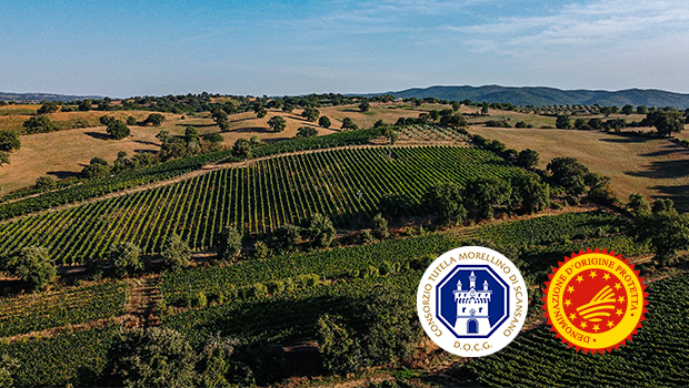 Il Consorzio Morellino di Scansano a Wine Paris 2025