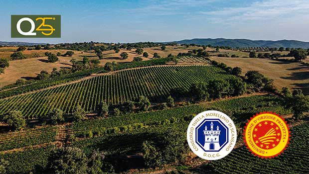 Il Consorzio Morellino di Scansano lancia uno strumento per promuovere un enoturismo consapevole